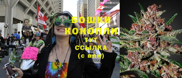 индика Магас