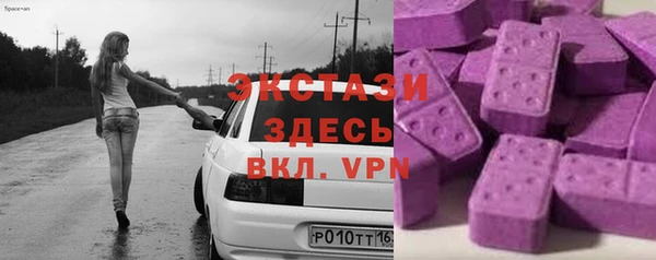 индика Магас