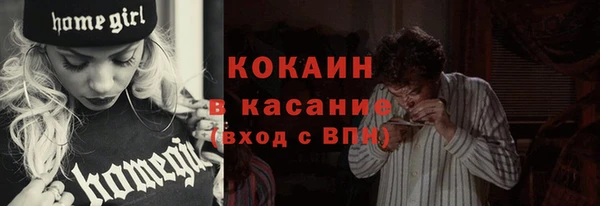 индика Магас