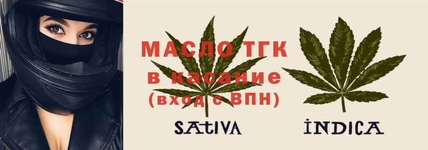 индика Магас