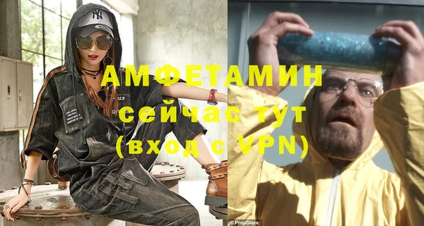 индика Магас