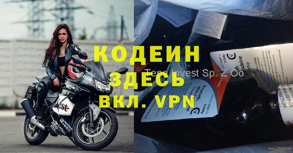 индика Магас