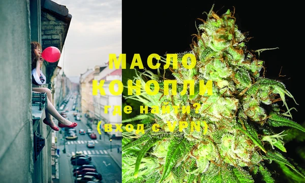индика Магас
