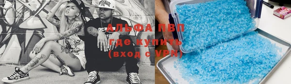 индика Магас