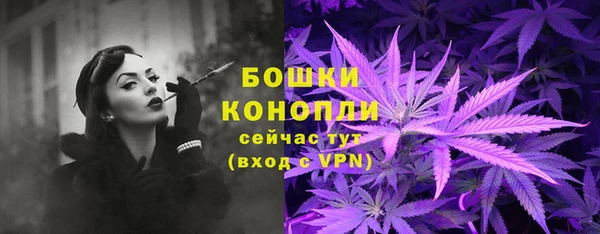 индика Магас