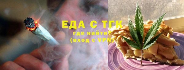 индика Магас