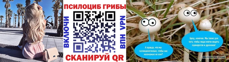 Галлюциногенные грибы Cubensis  Купить где  Межгорье 